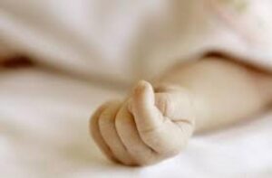 images_5