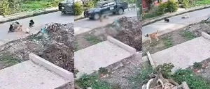 image-atropello_101-14086800_20251231191639